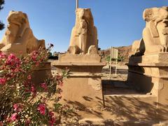 Avenue of sphinx statues leading to the Karnak Temple in Luxor, Egypt, showcasing ancient Egyptian architecture and the historical temple complex
