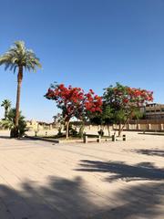 Entrance plaza of Karnak Temple in Luxor, Egypt with ancient stone columns and tourists