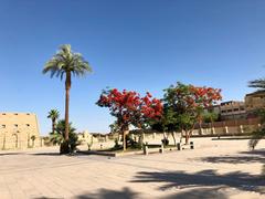 Entrance Plaza at Karnak Temple in Luxor Egypt with ancient columns and statues