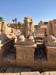 Avenue of Sphinxes at Karnak Temple complex in Luxor, Egypt, showcasing ancient Egyptian statues and architecture