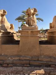 A long avenue lined with ram-headed sphinx statues at Karnak Temple in Luxor, Egypt