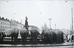 Circus elephants drinking water at Havis Amanda fountain in Helsinki in 1964