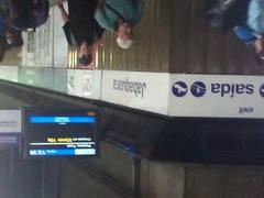 Jabaquara Metro station platform with passengers and trains