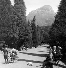 Historical view of De Waal Park in Oranjezicht, Cape Town circa 1898