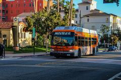 MTA bus 4185 operating on the 662 Clockwise route