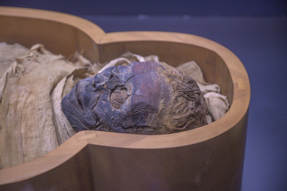 Mummy of an ancient Egyptian woman from Thebes dating 1070-945 BC displayed in Vatican Museums