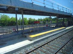 View from left window of train journey from Union to Pearson stations