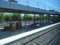 View of train tracks and green trees from left window during trip from Union to Pearson