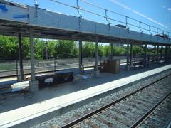View through left window of train traveling from Union to Pearson stations showing railway tracks and green trees