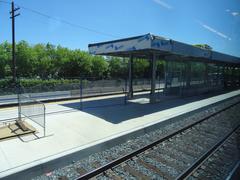 View through the left window of a train from Union to Pearson