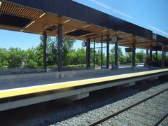 View from a train window showing lush green trees and railway tracks on a trip from Union to Pearson