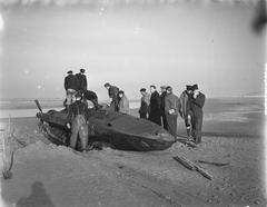 Two-person German torpedo mini-submarine on the beach at Castricum in 1952