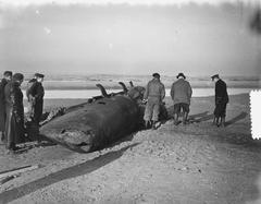 Two-person German torpedo submarine on the beach at Castricum in North Holland, December 2, 1952