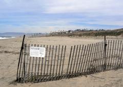 Fencing and signage at Dockweiler State Beach protecting western snowy plover nesting area