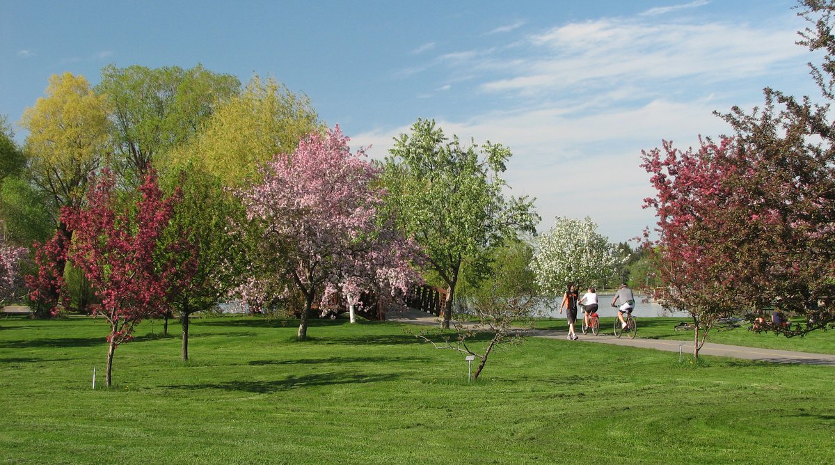 Scenic view of CEF Arboretum with trees and open grassy area under blue sky