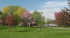 Scenic view of CEF Arboretum with trees and open grassy area under blue sky