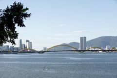 Da Nang Dragon Bridge illuminated at night with dragon design