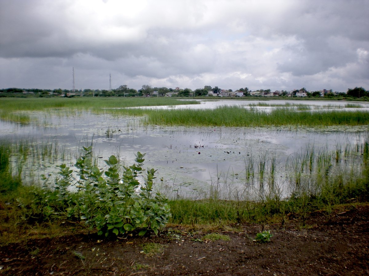 100 Yekarala Cheruvu reservoir with surrounding greenery and water reflection