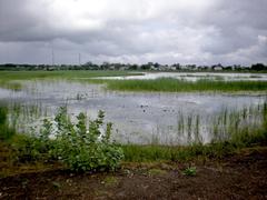 100 Yekarala Cheruvu reservoir with surrounding greenery and water reflection