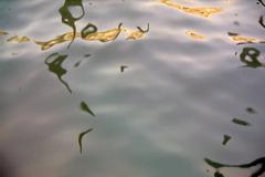 Reflection of Santa Maria dei Miracoli church in Venice canal