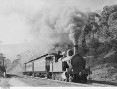 South Australian Railways F 242 locomotive hauling a passenger train at Eden Hills in 1952