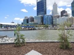 Elizabeth Quay Jetty at dusk with modern city skyline in Perth Western Australia