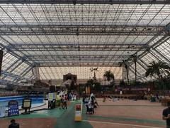 Tokyo Summerland water park with large water slides and pools
