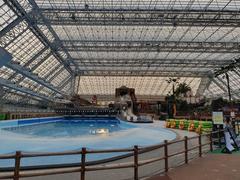 Tokyo Summerland amusement park with roller coasters and water attractions