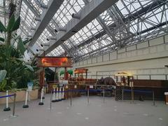 Tokyo Summerland Water Park with Large Water Slide and Pool