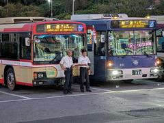 Evening bus heading to Tokyo Summerland amusement park surrounded by trees