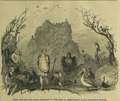 Scene from the New Classic Burlesque of The Birds of Aristophanes at the Haymarket Theatre, 1846 illustration