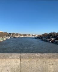 View of the Seine River from the Iéna Bridge in Paris during winter January 2020
