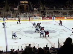 Toronto Marlies ice hockey players during faceoff
