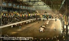 Interior view of the Coliseum at Canadian National Exhibition during livestock judging in 1925