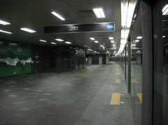 AREX Hongik University Station platform with trains and passengers