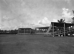 Flamingo Field