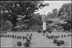 Forest Hills Cemetery scenic view with trees and pathways
