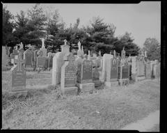 Rows of cemetery headstones in Forest Hills Cemetery