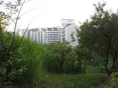 Seoul city wall in August 2007 with stone arch and surrounding trees