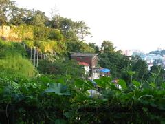 Seoul city wall in August 2007 with greenery and traditional stone construction