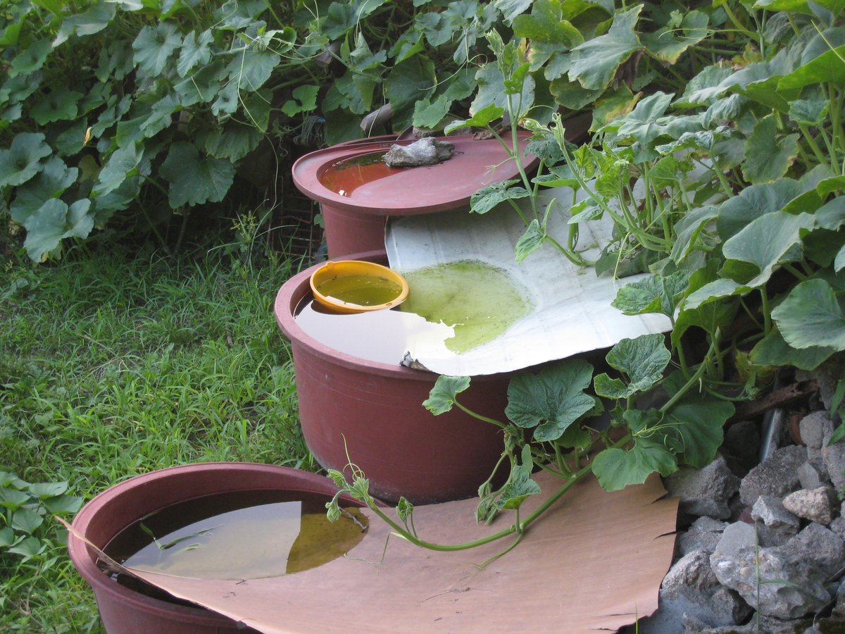 Rainwater storage barrels in garden near stone city wall