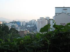 Seoul city wall under tree with sunlight in August 2007