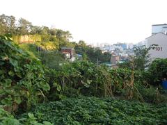 Seoul city wall in August 2007 with traditional Korean architecture and surrounding greenery