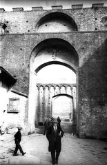 Porta Ovile gate in Siena city environment