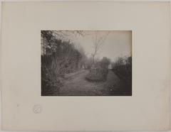 Historic photograph of the garden at Maison de Balzac, 47 rue Raynouard, 16th arrondissement, Paris, taken in 1909