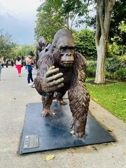 Gardens by the Bay Singapore lush urban garden with diverse plant species