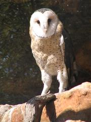Johannesburg Zoo