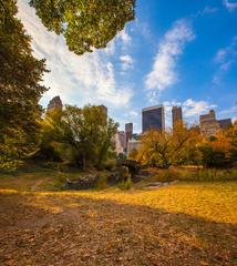 Gapstow Bridge over a pond in Central Park, New York City