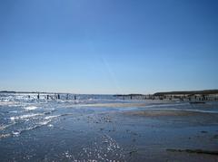 Dead Horse Bay at low tide with a rusty gate in foreground