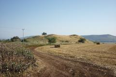 Kinneret